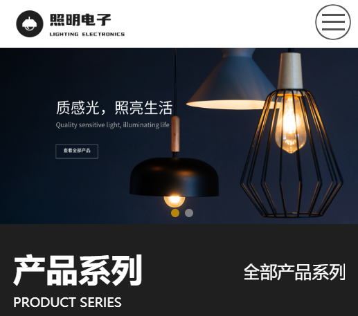 照明電子網(wǎng)站